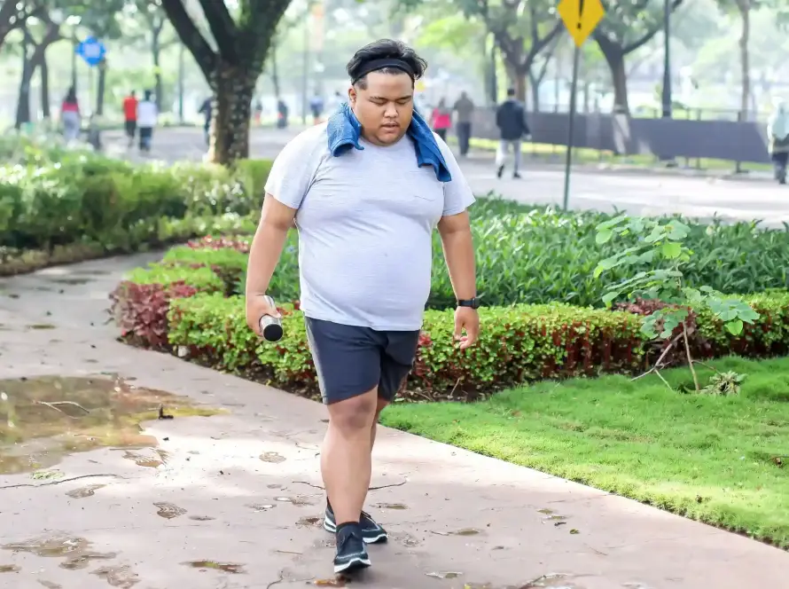 lose belly fat walking